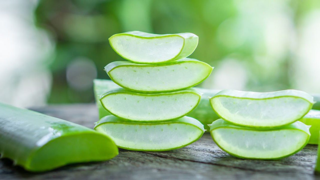 Nature's Gift - Aloe Vera