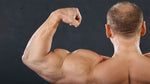 Best Protein Powder For Muscle Building